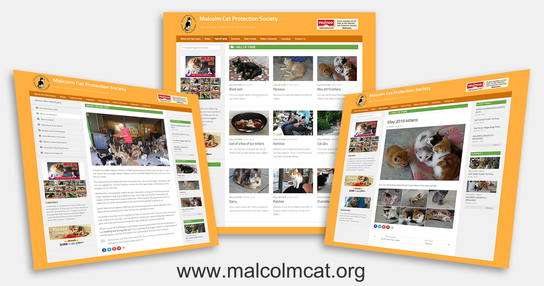 New Malcolm Cat Website 2015